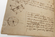 Codex on the flight of birds, Turin, Biblioteca Reale di Torino − Photo 12
