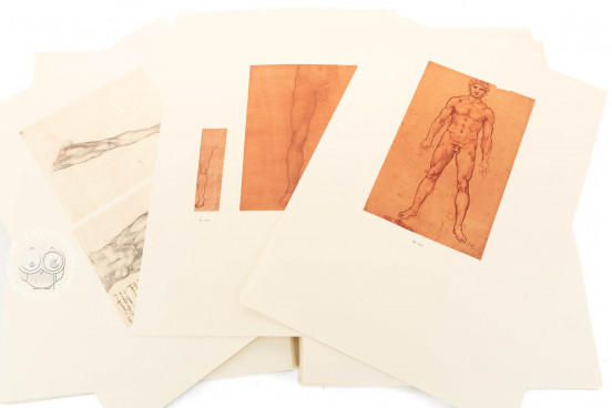 Corpus of the Anatomical Studies (Collection), Windsor, Royal Library at Windsor Castle − Photo 1