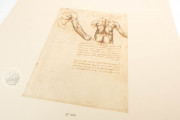 Corpus of the Anatomical Studies (Collection), Windsor, Royal Library at Windsor Castle − Photo 3