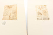Corpus of the Anatomical Studies (Collection), Windsor, Royal Library at Windsor Castle − Photo 9