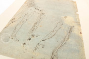 Corpus of the Anatomical Studies (Collection), Windsor, Royal Library at Windsor Castle − Photo 15