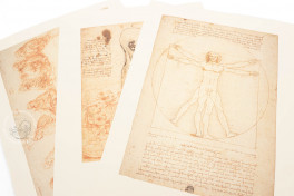 Drawings by Leonardo da Vinci and His Circle - Gallerie dell