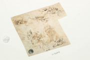 Drawings of Leonardo da Vinci and his circle - Gallerie dell’A, Gallerie dell'Accademia - Gabinetto Disegni e Stampe (Venice, Italy) − photo 4