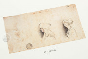 Drawings of Leonardo da Vinci and his circle - Gallerie dell’A, Gallerie dell'Accademia - Gabinetto Disegni e Stampe (Venice, Italy) − photo 7