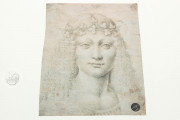 Drawings of Leonardo da Vinci and his circle - Gallerie dell’A, Gallerie dell'Accademia - Gabinetto Disegni e Stampe (Venice, Italy) − photo 8