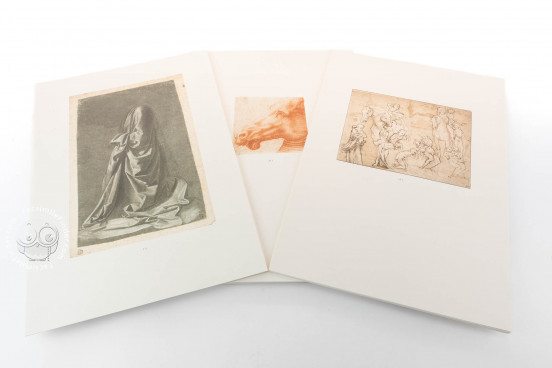 Drawings of Leonardo da Vinci and his circle - American Collecti, Malibu, The Getty Villa
New York
USA
, New York Public Library
New York, The Metropolitan Museum of Art − Photo 1