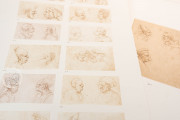 Drawings of Leonardo da Vinci and his circle - American Collecti, Malibu, The Getty Villa
New York
USA
, New York Public Library
New York, The Metropolitan Museum of Art − Photo 9