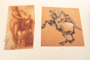 Drawings of Leonardo da Vinci and his circle - Public Collection, Multiple Locations − Photo 6