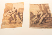 Drawings of Leonardo da Vinci and his circle - Public Collection, Multiple Locations − Photo 21