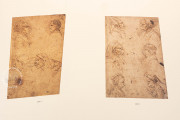Drawings of Leonardo da Vinci and his circle - Public Collection, Multiple Locations − Photo 28