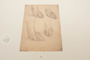 Drawings by Leonardo da Vinci and His Circle - British Collectio, Multiple locations − Photo 10