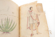 Tudela Codex, Madrid, Museo de América, 70400 − Photo 3