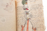 Tudela Codex, Madrid, Museo de América, 70400 − Photo 17