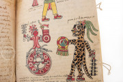 Tudela Codex, Madrid, Museo de América, 70400 − Photo 18