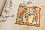 The Willehalm, Vienna, Österreichische Nationalbibliothek, Codex Vindobonensis 2670 − Photo 12