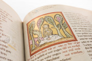 The Willehalm, Vienna, Österreichische Nationalbibliothek, Codex Vindobonensis 2670 − Photo 14