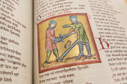 The Willehalm, Vienna, Österreichische Nationalbibliothek, Codex Vindobonensis 2670 − Photo 17