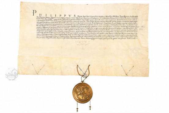 Oath of Loyalty sworn to Pope Paul IV by Philip II on his invest, Archivum Secretum Vaticanum (Vatican City, State of the Vatican City) − photo 1
