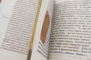 Escorial Hours of Charles V, El Escorial, Real Biblioteca del Monasterio de San Lorenzo, MS Vitr. 13 − Photo 13