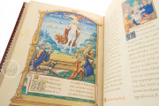 Gospel Book of Charles d'Orléans, Count of Angoulême, Madrid, Biblioteca Nacional de España, Res/51 − Photo 17
