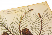 Natural history atlas of Philiph II - Pomar Codex, Valencia, Biblioteca Histórica de la Universidad de València − Photo 13