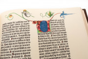 Gutenberg's Bible or The 42 Lined Bible, Burgos, Biblioteca Pública del Estado, Inc. 66 − Photo 3