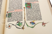 Gutenberg's Bible or The 42 Lined Bible, Burgos, Biblioteca Pública del Estado, Inc. 66 − Photo 17