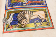 Book of Beasts, Oxford, Bodleian Library, Ms Bodley 764 − Photo 3