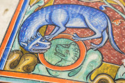 Book of Beasts, Oxford, Bodleian Library, Ms Bodley 764 − Photo 7