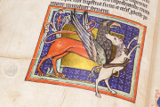 Book of Beasts, Oxford, Bodleian Library, Ms Bodley 764 − Photo 14