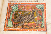 Book of Beasts, Oxford, Bodleian Library, Ms Bodley 764 − Photo 15