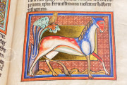 Book of Beasts, Oxford, Bodleian Library, Ms Bodley 764 − Photo 16