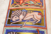 Book of Beasts, Oxford, Bodleian Library, Ms Bodley 764 − Photo 25