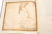 Resta Codex, Milan, Veneranda Biblioteca Ambrosiana − Photo 22