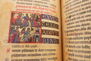 Psalter of Frederick II, Florence, Biblioteca Riccardiana, Cod. Ricc. 323 − Photo 8