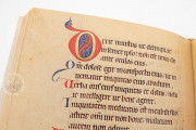 Psalter of Frederick II, Florence, Biblioteca Riccardiana, Cod. Ricc. 323 − Photo 17