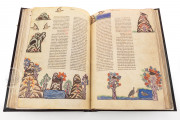 The Art of Falconry by Frederick II - De Arte Venandi Cum Avibus, Vatican City, Biblioteca Apostolica Vaticana, Pal. Lat. 1071 − Photo 4