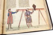 The Art of Falconry by Frederick II - De Arte Venandi Cum Avibus, Vatican City, Biblioteca Apostolica Vaticana, Pal. Lat. 1071 − Photo 14
