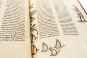 The Art of Falconry by Frederick II - De Arte Venandi Cum Avibus, Vatican City, Biblioteca Apostolica Vaticana, Pal. Lat. 1071 − Photo 20