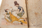 Codex Murua, Private Collection − Photo 6
