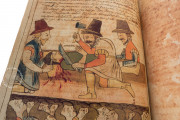 Codex Murua, Private Collection − Photo 8