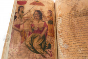 Codex Murua, Private Collection − Photo 18