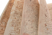 Codex Murua, Private Collection − Photo 21