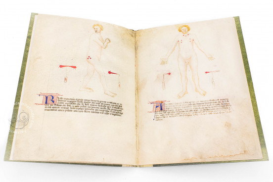 Bartolomeo Squarcialupi - Libro de cauteri, Padua, Biblioteca Medica Vincenzo Pinali, ms. Fanzago 2, I, 5, 28 − Photo 1