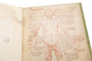 Bartolomeo Squarcialupi - Libro de cauteri, Padua, Biblioteca Medica Vincenzo Pinali, ms. Fanzago 2, I, 5, 28 − Photo 3
