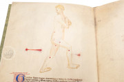 Bartolomeo Squarcialupi - Libro de cauteri, Padua, Biblioteca Medica Vincenzo Pinali, ms. Fanzago 2, I, 5, 28 − Photo 4