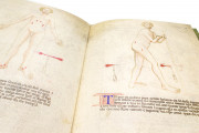 Bartolomeo Squarcialupi - Libro de cauteri, Padua, Biblioteca Medica Vincenzo Pinali, ms. Fanzago 2, I, 5, 28 − Photo 9
