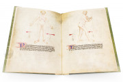 Bartolomeo Squarcialupi - Libro de cauteri, Padua, Biblioteca Medica Vincenzo Pinali, ms. Fanzago 2, I, 5, 28 − Photo 10