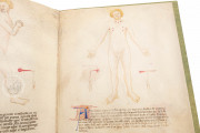 Bartolomeo Squarcialupi - Libro de cauteri, Padua, Biblioteca Medica Vincenzo Pinali, ms. Fanzago 2, I, 5, 28 − Photo 15