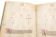 Bartolomeo Squarcialupi - Libro de cauteri, Padua, Biblioteca Medica Vincenzo Pinali, ms. Fanzago 2, I, 5, 28 − Photo 17